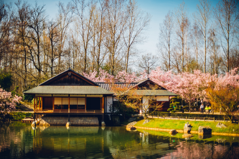 bezoek de Japanse Tuin in Hasselt op 15 minuten autorijden van B&B Nummer5