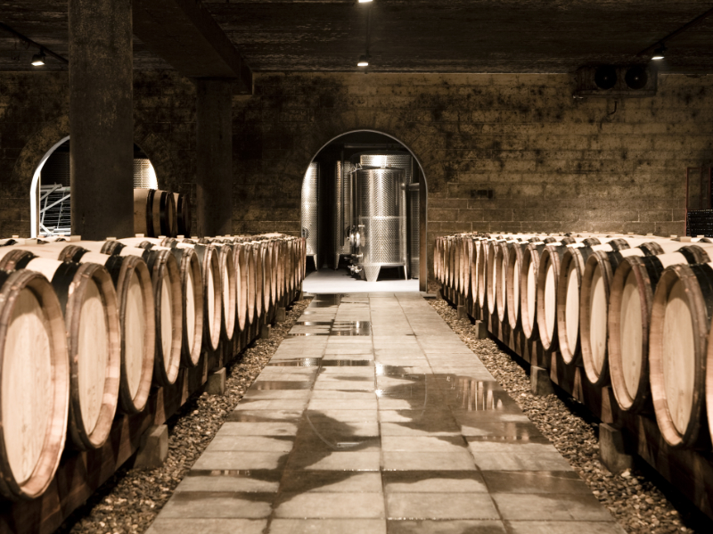de wijnvaten bij wijnkasteel genoels-elderen in riemst - op een half uurtje van B&B Nummer5 in Zolder